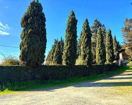 casa indipendente in vendita a Montespertoli