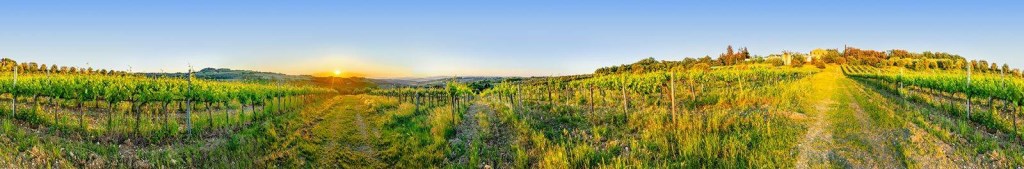 terreno agricolo in vendita a Montespertoli