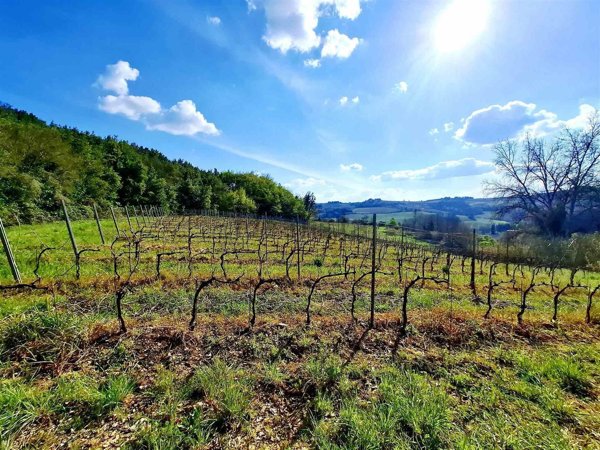 casa indipendente in vendita a Montespertoli