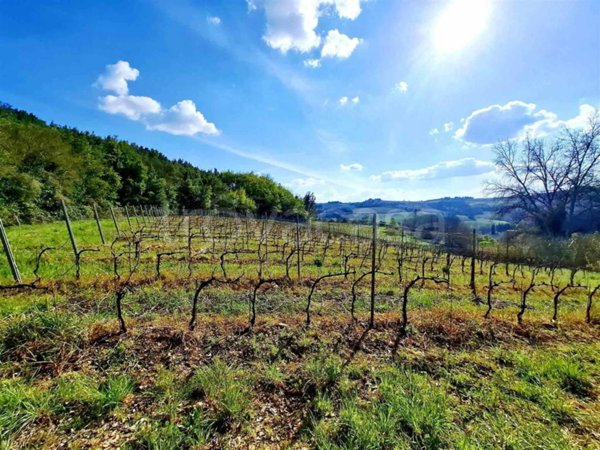 casa indipendente in vendita a Montespertoli