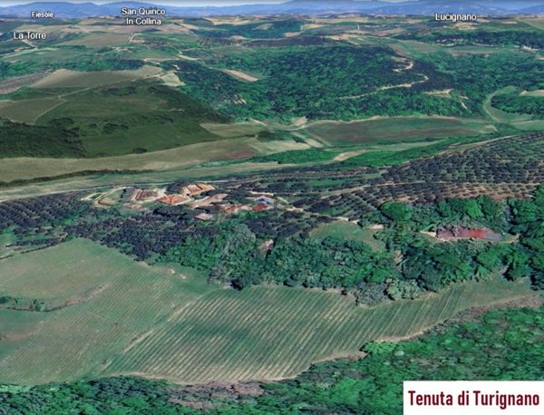 azienda agricola in vendita a Montespertoli