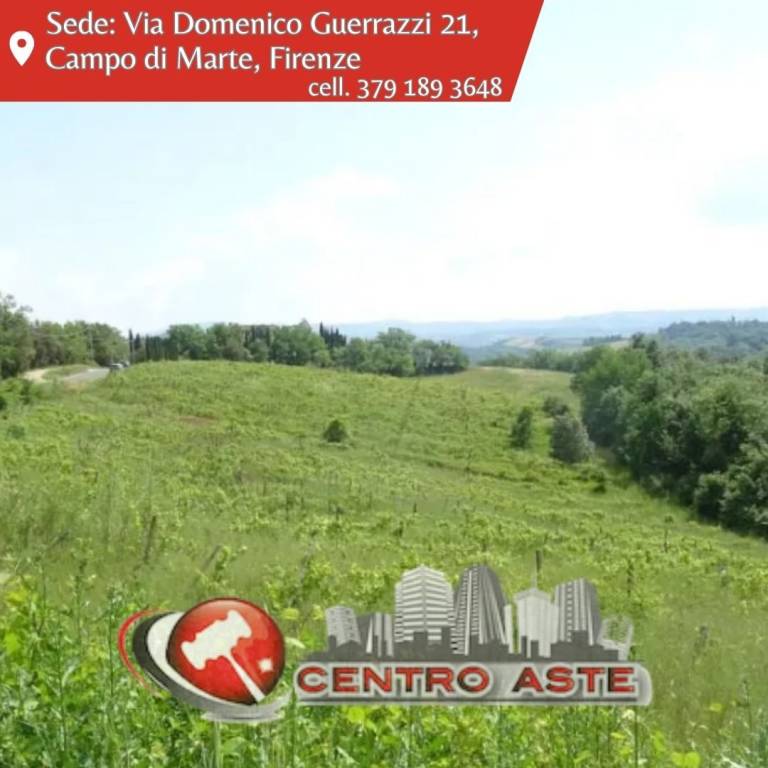 casa indipendente in vendita a Montespertoli