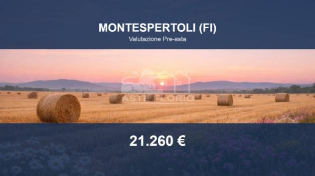 terreno agricolo in vendita a Montespertoli in zona Botinaccio
