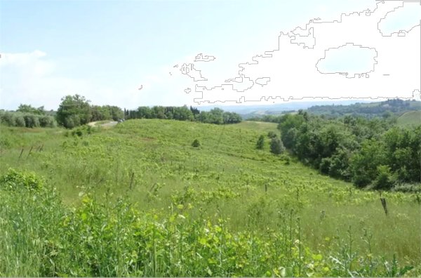terreno agricolo in vendita a Montespertoli in zona Ortimino