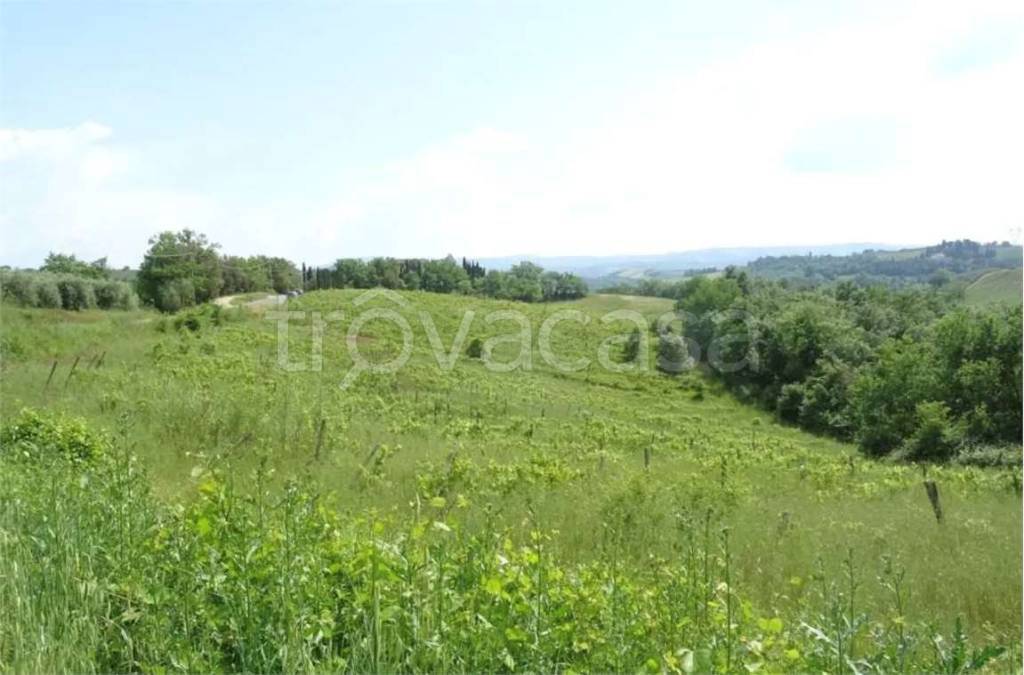 appartamento in vendita a Montespertoli in zona Ortimino