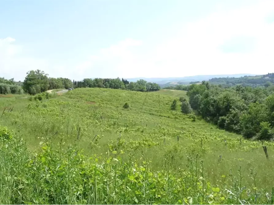 terreno agricolo in vendita a Montespertoli in zona Ortimino