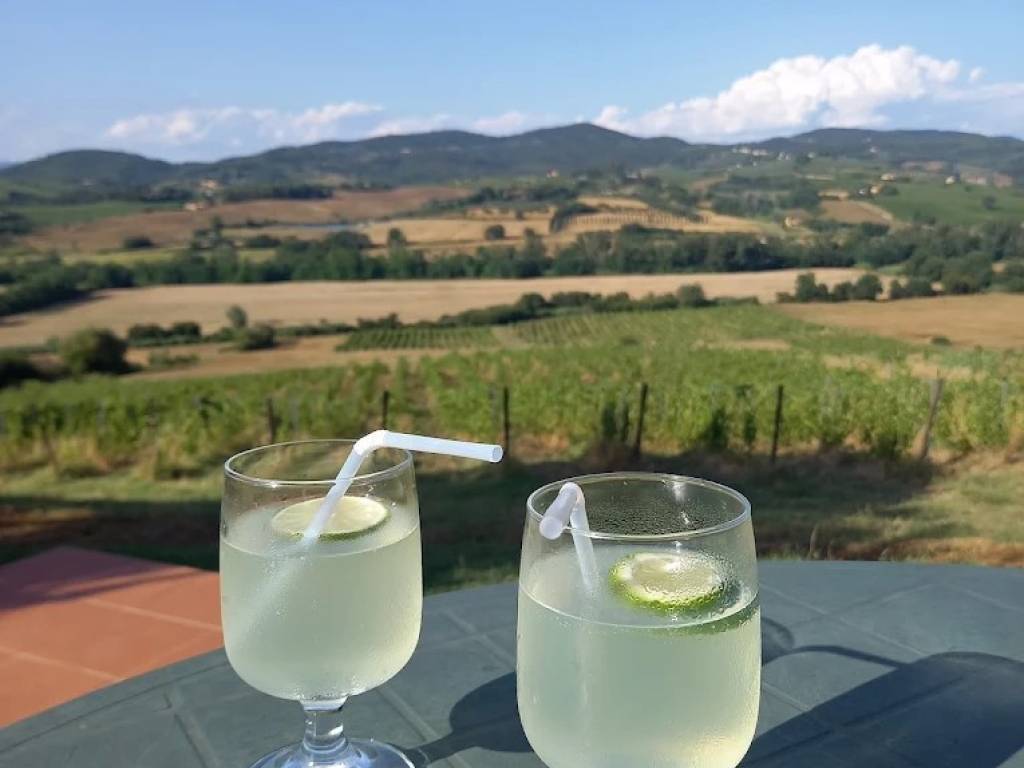 casa indipendente in vendita a Montespertoli