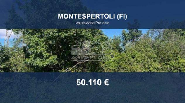 terreno agricolo in vendita a Montespertoli