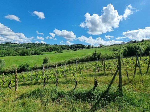 terreno agricolo in vendita a Montespertoli