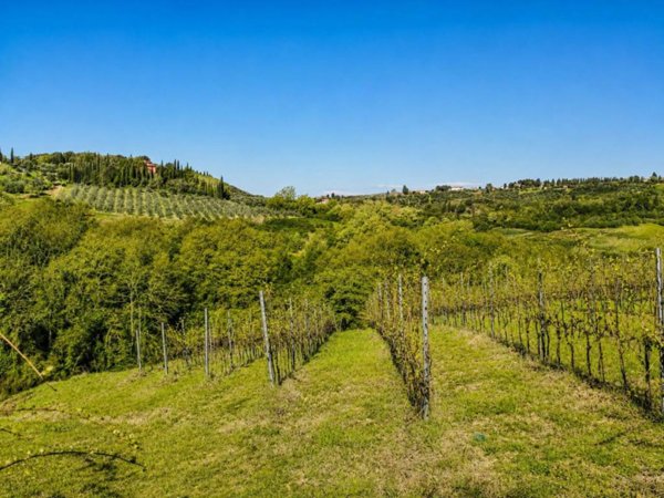 casa indipendente in vendita a Montespertoli