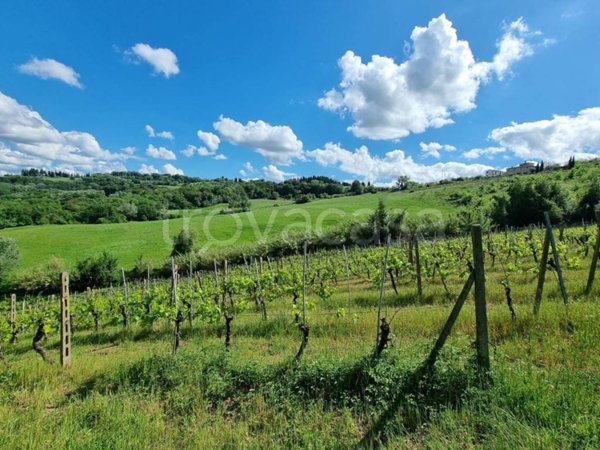 terreno agricolo in vendita a Montespertoli