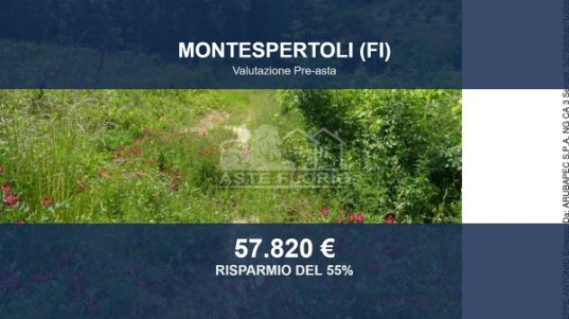 terreno agricolo in vendita a Montespertoli in zona Ortimino