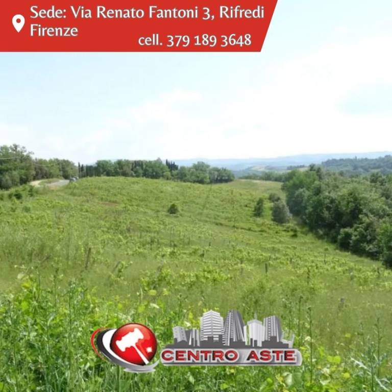 casa indipendente in vendita a Montespertoli in zona Ortimino