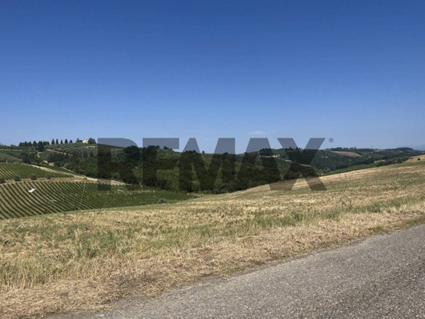 terreno agricolo in vendita a Montespertoli