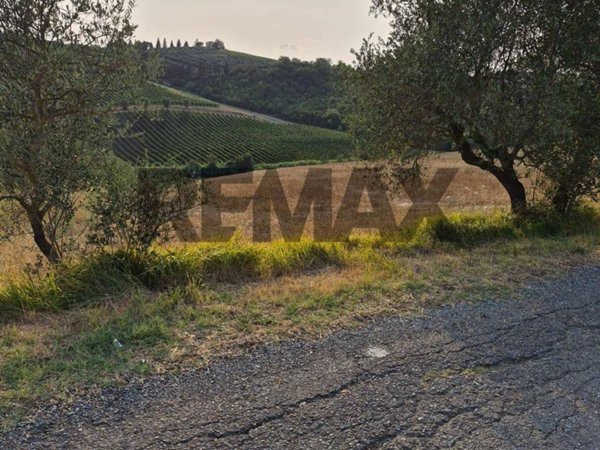 terreno agricolo in vendita a Montespertoli