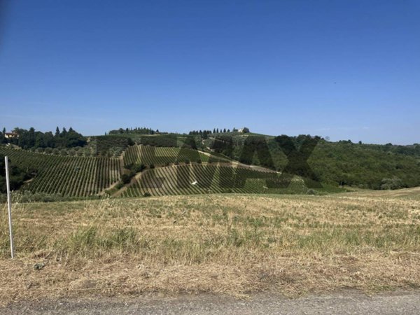 terreno agricolo in vendita a Montespertoli