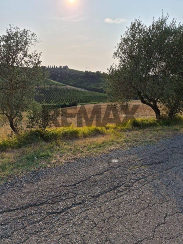 terreno agricolo in vendita a Montespertoli