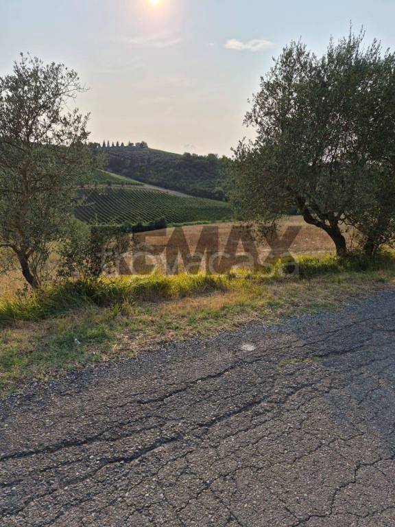 terreno agricolo in vendita a Montespertoli