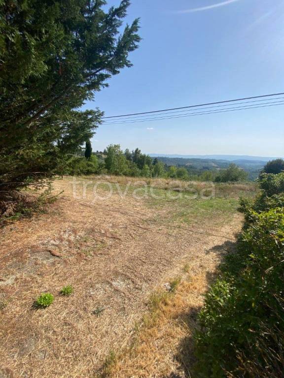 terreno agricolo in vendita a Montespertoli