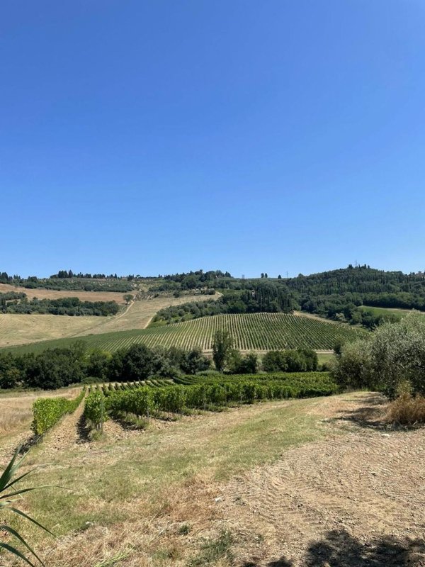 terreno in vendita a Montespertoli in zona Polvereto