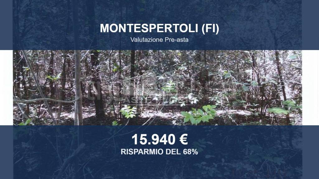 terreno agricolo in vendita a Montespertoli in zona Botinaccio