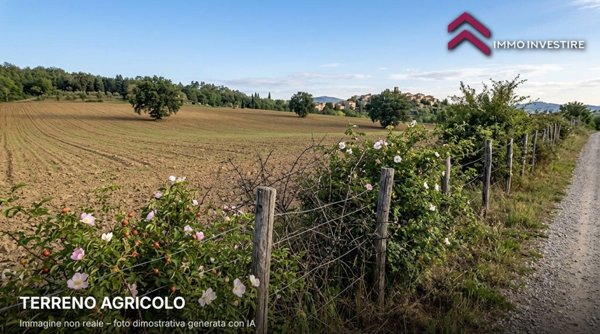 terreno agricolo in vendita a Montespertoli in zona Le Galvane
