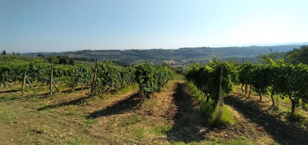 terreno agricolo in vendita a Montespertoli in zona Lucardo