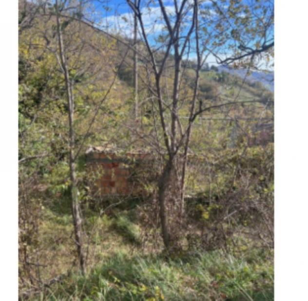 terreno agricolo in vendita a Palazzuolo sul Senio in zona Bibbiana