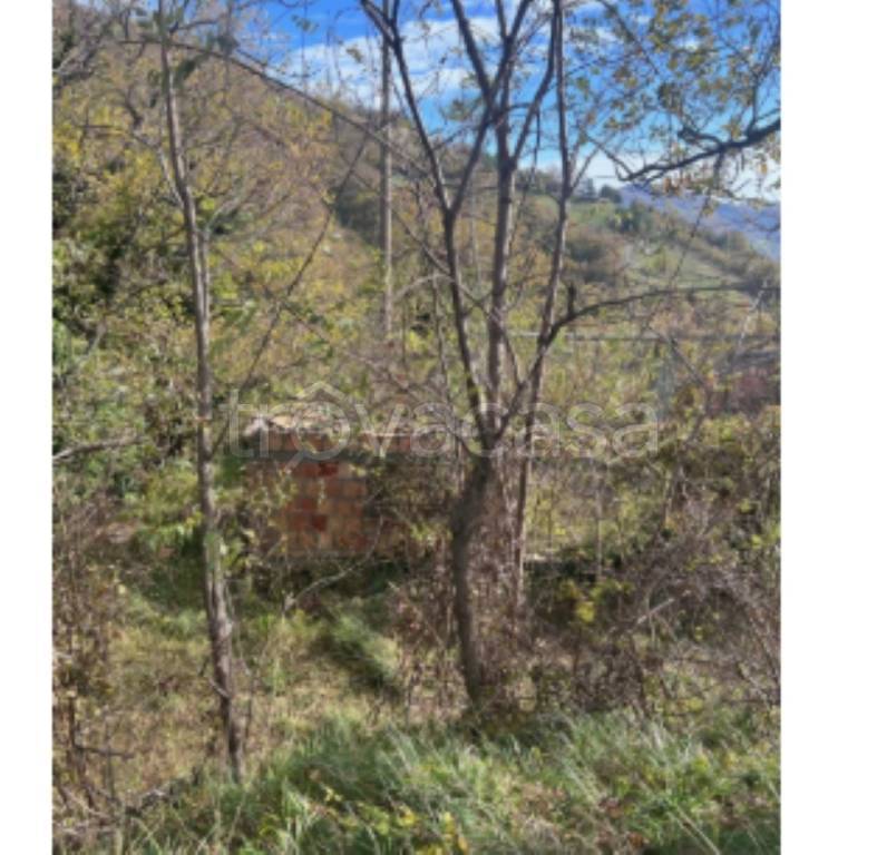 terreno agricolo in vendita a Palazzuolo sul Senio in zona Bibbiana