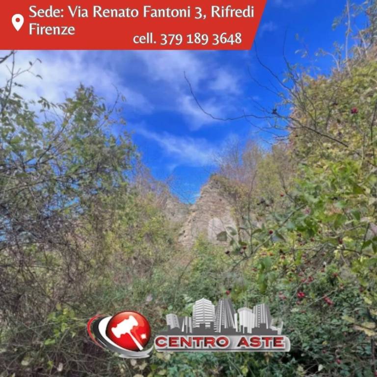casa indipendente in vendita a Palazzuolo sul Senio in zona Bibbiana