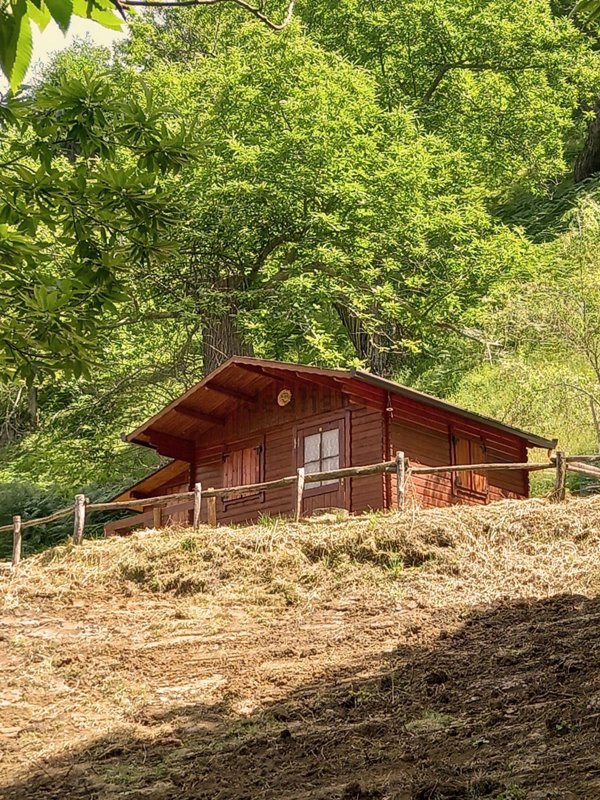 terreno agricolo in vendita a Palazzuolo sul Senio in zona Bibbiana