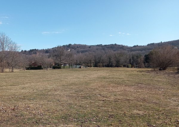 terreno agricolo in vendita ad Ameno