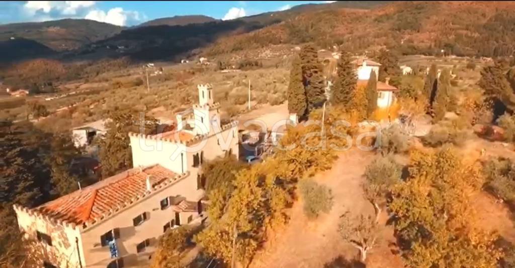 negozio in vendita a Pelago