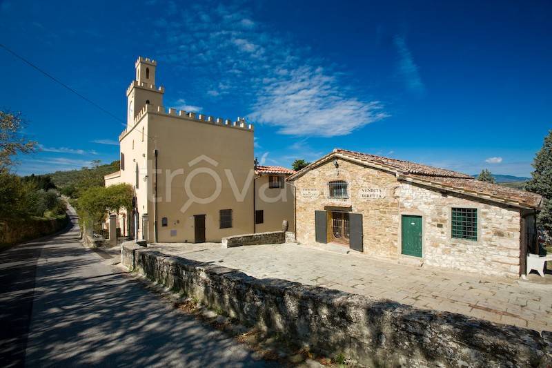 negozio in vendita a Pelago