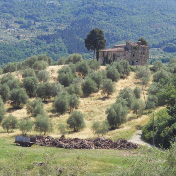 casa indipendente in vendita a Pelago