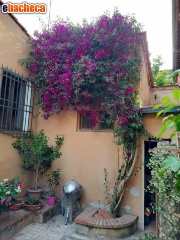 appartamento in vendita a Pelago in zona San Francesco
