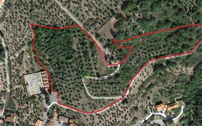 terreno agricolo in vendita a Pelago