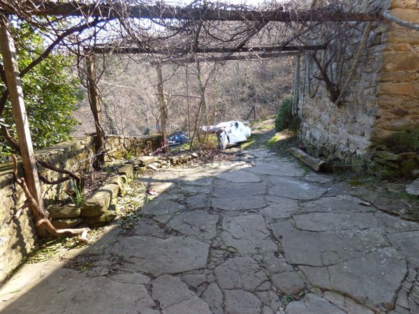immagine annuncio 0 di 1