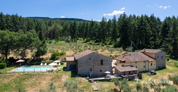 casa indipendente in vendita a Pelago