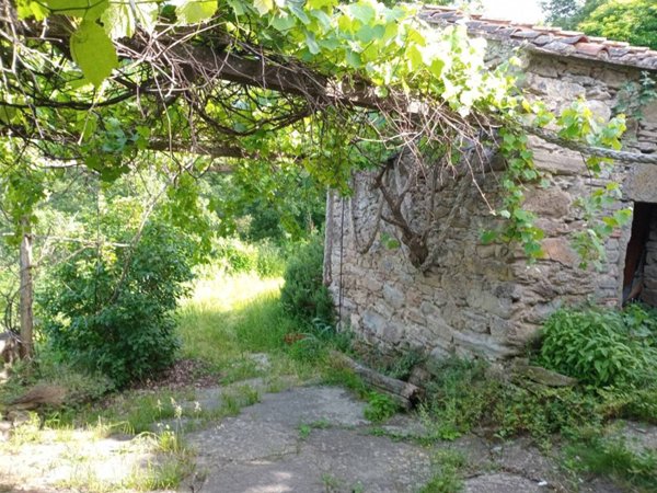 casa indipendente in vendita a Pelago in zona Borselli