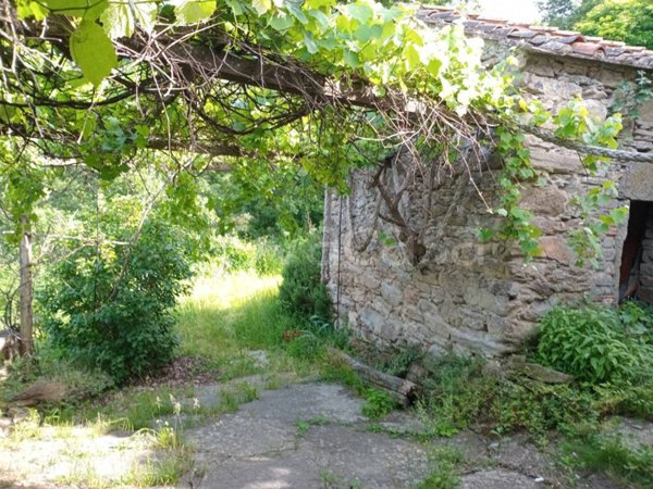 casa indipendente in vendita a Pelago in zona Borselli
