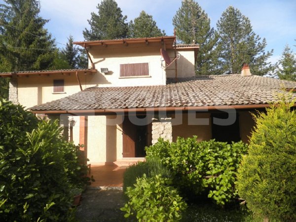casa indipendente in vendita a Pelago in zona Consuma