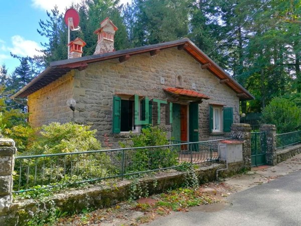 quadrivano in vendita a Pelago in zona Consuma