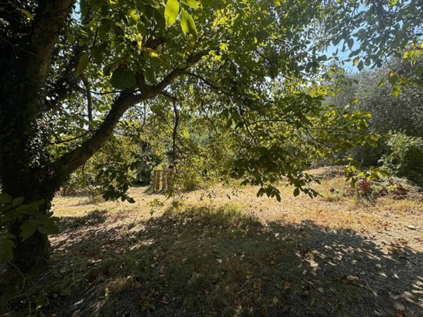 appartamento in vendita a Pelago