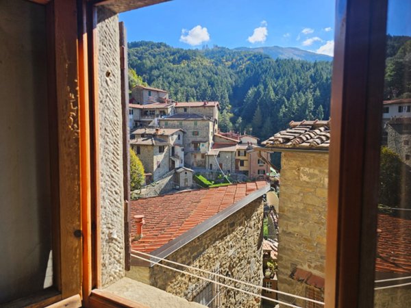 casa indipendente in vendita a Pelago in zona Raggioli