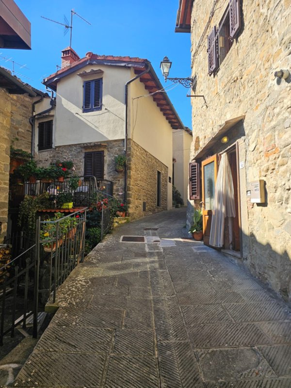 casa indipendente in vendita a Pelago in zona Raggioli