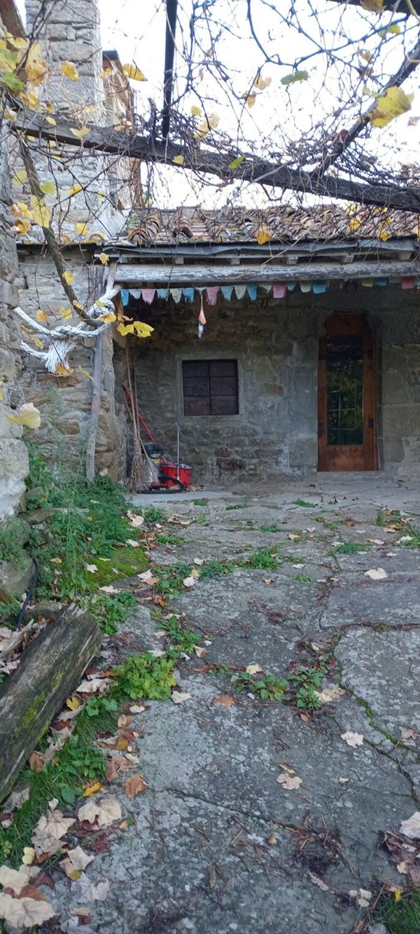 pentavano in vendita a Pelago in zona Borselli