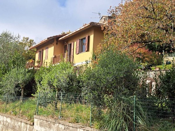 casa indipendente in vendita a Pelago in zona Borselli