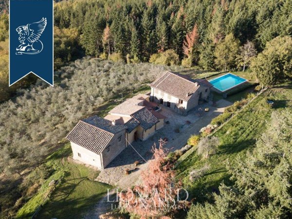 negozio in vendita a Pelago