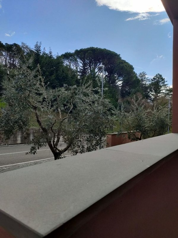 appartamento in vendita a Pelago